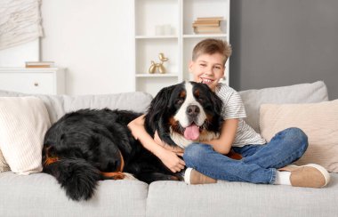 Küçük çocuk evdeki kanepede Bernese dağ köpeğine sarılıyor.