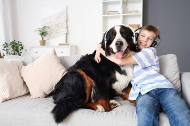 Bernese dağ köpeği kulaklıklı küçük çocuk evdeki koltukta oturuyor.