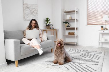 Evdeki kanepede dizüstü bilgisayar kullanan tatlı kanişi olan genç bir kadın.