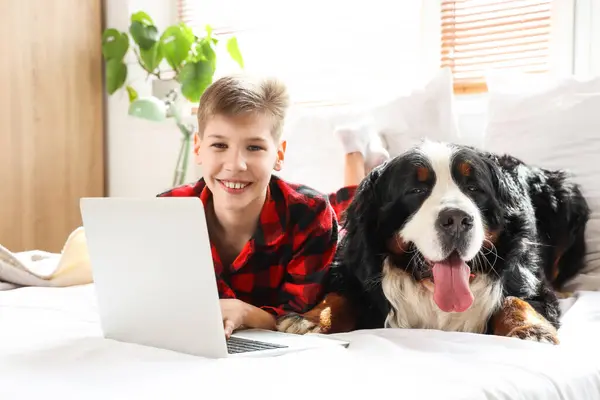 Little boy with Bernese mountain dog using laptop in bedroom