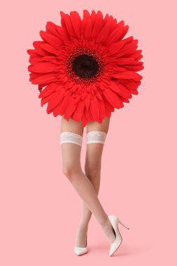 Gerbera çiçeğiyle kolaj ve beyaz çoraplı genç bir kadının bacakları ve pembe arka planda yüksek topuklu ayakkabılar.