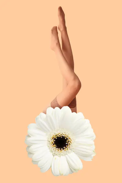 Collage Gerbera Flower Legs Young Woman Nude Stockings Beige Background — Stock Photo, Image