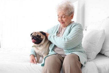 Yakışıklı köpeğiyle yatak odasında oturan son sınıf öğrencisi kadın.