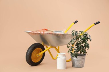 Bitki, konserve ve bej arka planda el arabası.
