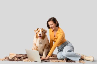 Şirin Avustralyalı çoban köpeği ve dizüstü bilgisayarı olan genç ve güzel bir kadın gri arka planda ekose battaniyede oturuyor.