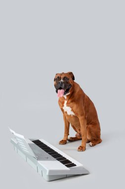 Işık arkaplanında sentezleyici olan boksör köpeği