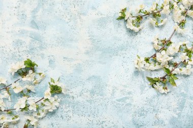 Açık mavi arkaplanda çiçek açan güzel dallar