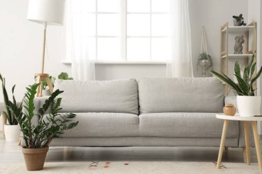 Kanepe ve bitkilerle aydınlık oturma odasının içinde.