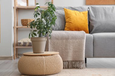 Gri kanepe, puf ve çiçekli güzel bir oturma odası.