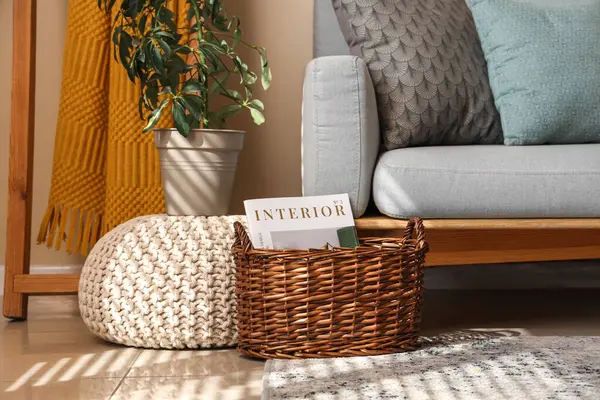 Stilvolles Wohnzimmer Mit Sofa Kissen Zimmerpflanze Und Korb Mit Zeitschriften — Stockfoto