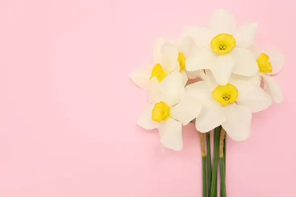 Composition Narcissus Flowers Pink Background Top View — Stockfoto
