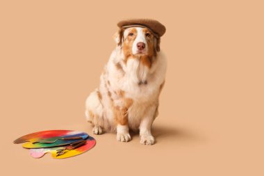 Bej arka planda sanatçı malzemeleri olan sevimli bir köpek.