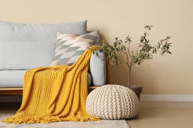 Şık oturma odasının içi rahat kanepe, ekose, puf ve çiçekli.