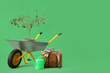 Bitki, bahçe malzemeleri ve yeşil arka planda el arabası.