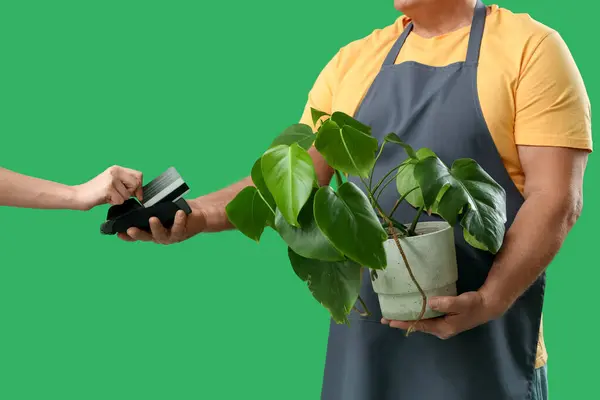 Älterer Gärtner Erhält Bezahlung Für Pflanze Auf Grünem Hintergrund — Stockfoto