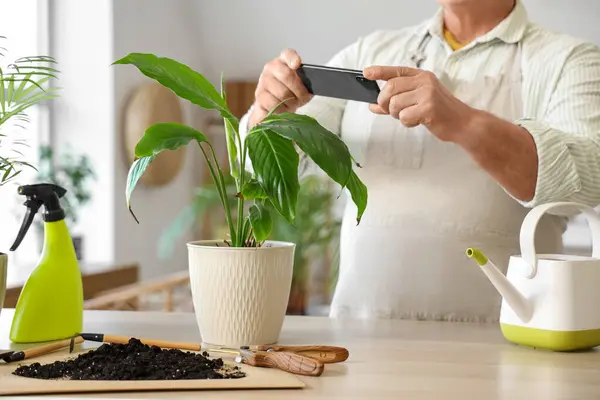 Mature Gardener Taking Picture Plant Home — Stock Photo, Image