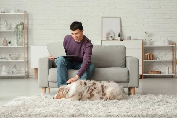 オーストラリアのシェパード犬と自宅でラップトップを持つ若い男 — ストック写真