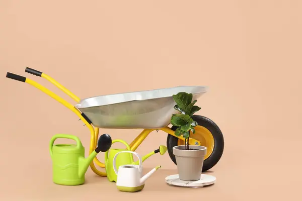 Watering Cans Plant Wheelbarrow Beige Background — Stock Photo, Image