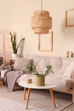 Rahat beyaz kanepesi ve bambu bitkisi olan modern oturma odası.