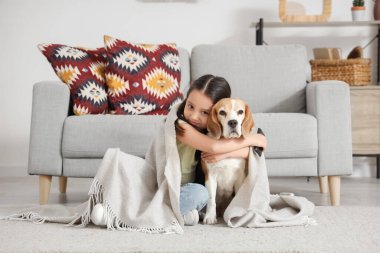 Evde televizyon izleyen küçük tatlı Asyalı kız ve Beagle köpeği.