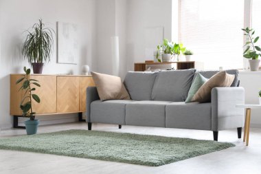 Kanepe, çekmece ve bitkilerle aydınlık oturma odasının içinde.