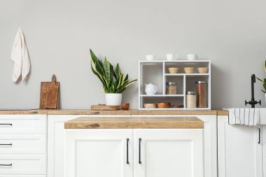 Ev bitkisiyle modern mutfağın iç mimarisi.