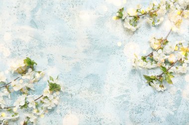 Mavi arka planda çiçek açan güzel ağaç dalları. Tasarım için pankart