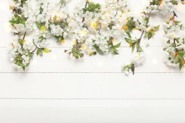 Beyaz ahşap arka planda çiçek açan güzel ağaç dalları. Tasarım için pankart