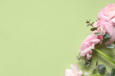 Yeşil arka planda güzel ranunculus çiçekleri ve okaliptüs