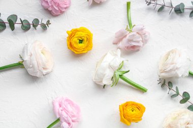 Beyaz grunge arka planda güzel ranunculus çiçekleri ve okaliptüs