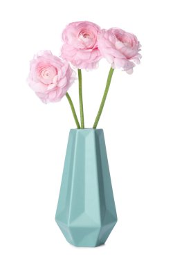 Beyaz arka planda pembe ranunculus çiçekli vazo