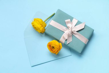 Güzel sarı ranunculus çiçekleri hediye kutusu ve mavi arka planda zarf.