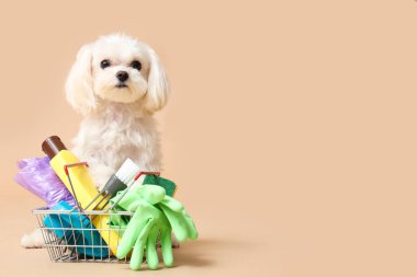 Tatlı köpek ve bej arka planda temizlik malzemeleri olan küçük alışveriş sepeti.