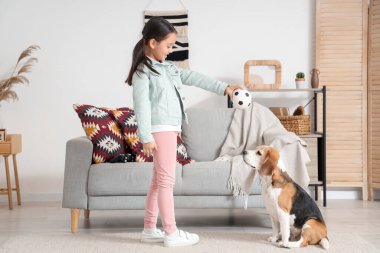 Küçük tatlı Asyalı kız evde Beagle köpeğiyle oynuyor.