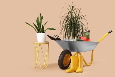 Bahçecilik malzemeleri seti ve bej arka planda el arabası.