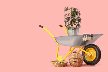 Bahçe malzemeleri, pembe arka planda bitki ve el arabası.