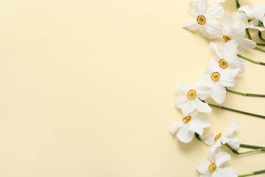 Sarı arka planda güzel nergis çiçekleri