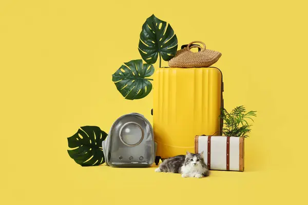 Cute cat with backpack carrier, bags and palm leaves on yellow background