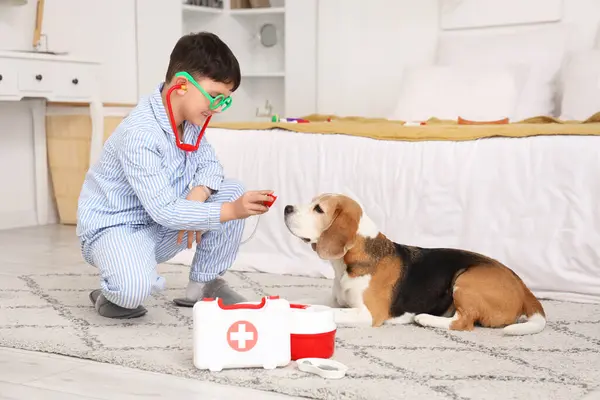 Funny Little Doctor Listening Beagle Dog Bedroom Imagen de stock