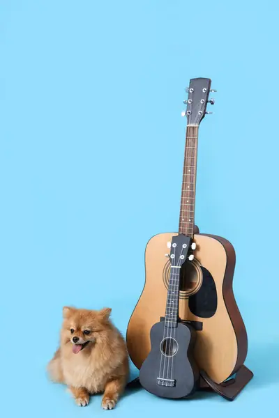Niedlicher Pommerscher Hund Mit Gitarren Auf Blauem Hintergrund lizenzfreie Stockbilder