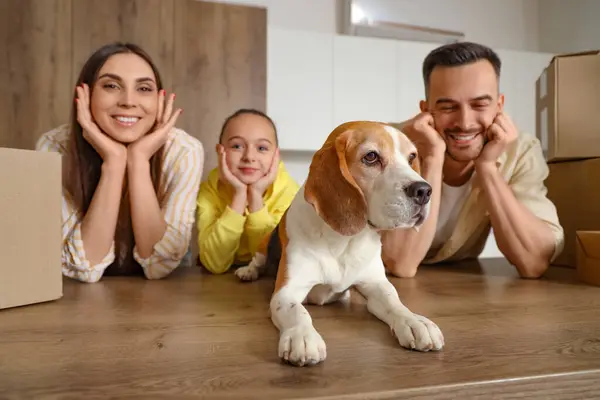 Happy family with Beagle dog at table in kitchen on moving day