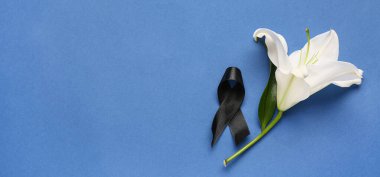 Mavi arkaplanda siyah cenaze kurdelesi ve beyaz zambak çiçeği.