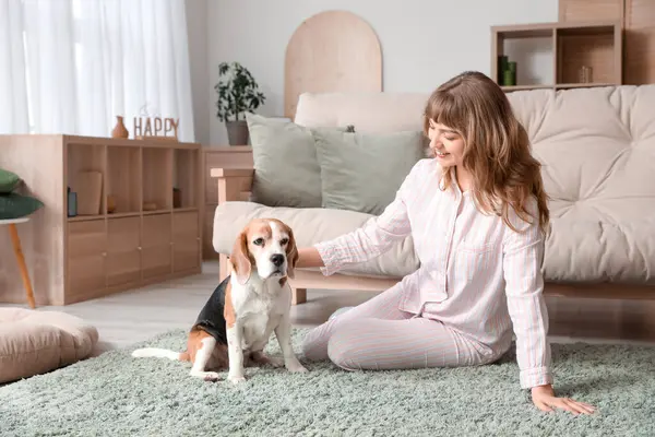 stock image Young woman with cute beagle dog sitting on carpet at home