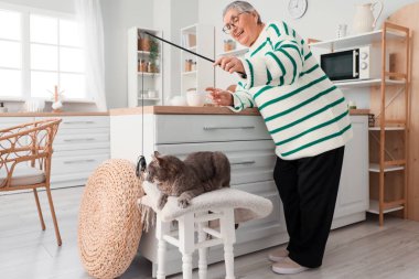 Yaşlı kadın mutfakta sevimli kediyle oynuyor.