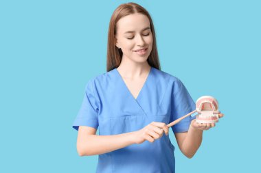 Mavi arka planda diş fırçası ve çene modeli olan kadın dişçi