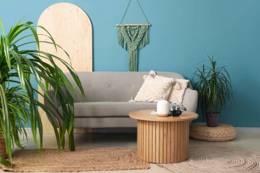 Koltuğu, sehpası ve mavi duvarın yanında bitkisi olan şık bir oturma odası.