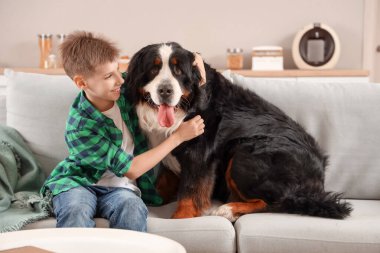 Şirin tüylü köpek ve çocuk oturma odasında kanepede oturuyor.