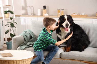 Şirin tüylü köpek ve çocuk oturma odasında kanepede oturuyor.