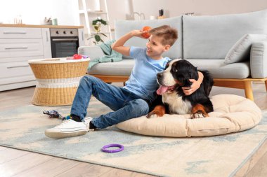 Şirin pofuduk köpek ve çocuk oturma odasında topla oynuyor.
