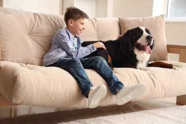 Şirin tüylü köpek ve çocuk oturma odasında rahat koltukta oturuyor.